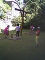 Obrázek v galerii