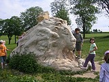Obrázek v galerii
