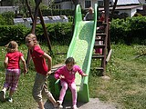 Obrázek v galerii