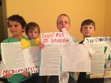 Obrázek v galerii