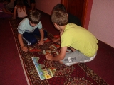 Obrázek v galerii