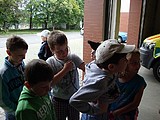 Obrázek v galerii