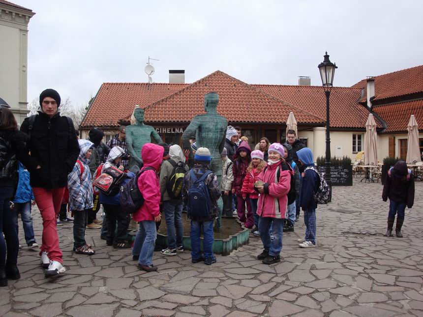 Obrázek v galerii