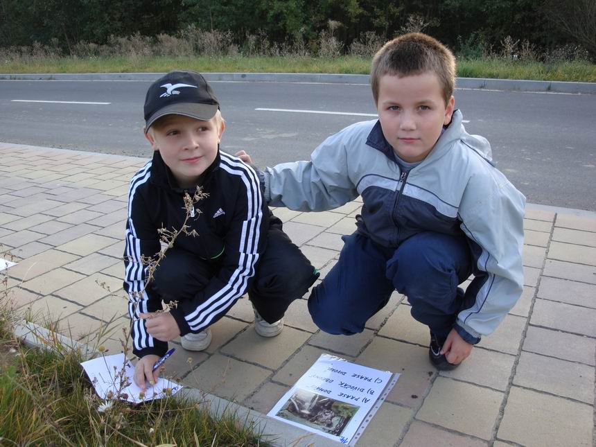 Obrázek v galerii