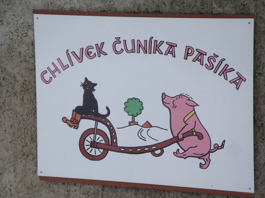 Obrázek v galerii