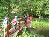 Obrázek v galerii