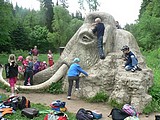 Obrázek v galerii