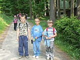 Obrázek v galerii