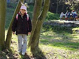 Obrázek v galerii