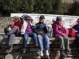 Obrázek v galerii