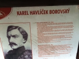 Obrázek v galerii