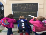 Obrázek v galerii