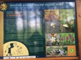 Obrázek v galerii