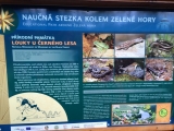 Obrázek v galerii