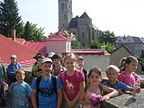 Obrázek v galerii