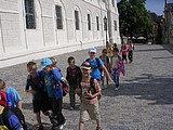 Obrázek v galerii