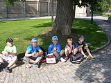 Obrázek v galerii