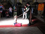 Obrázek v galerii