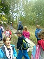 Obrázek v galerii