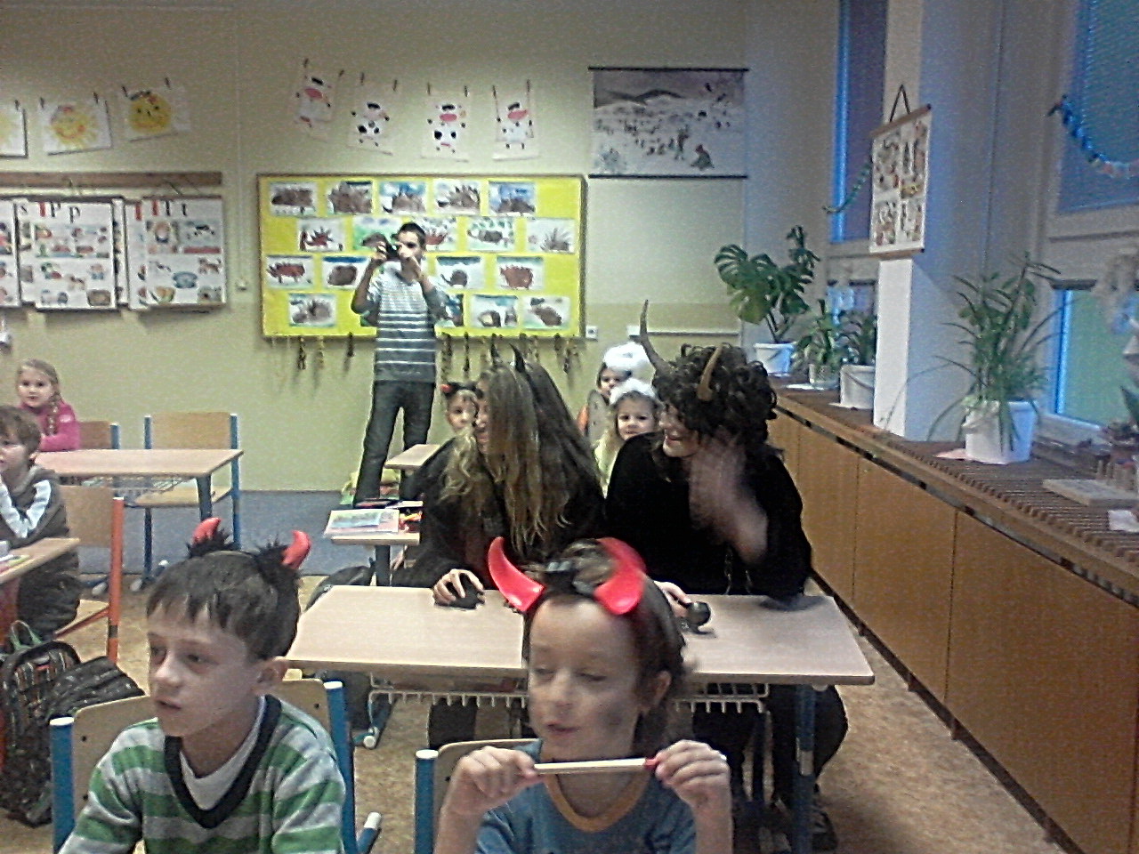 Obrázek v galerii