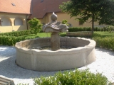 Obrázek v galerii