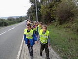 Obrázek v galerii