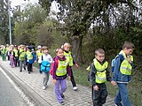 Obrázek v galerii