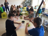 Obrázek v galerii