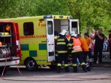 Obrázek v galerii