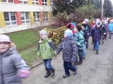 Obrázek v galerii