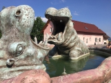 Obrázek v galerii