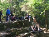 Obrázek v galerii