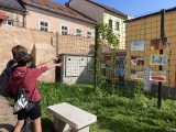 Obrázek v galerii